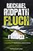Fluch (Fire & Ice #1)