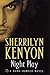 Night Play by Sherrilyn Kenyon