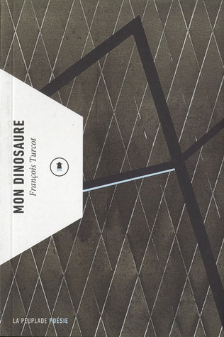 Mon dinosaure (Paperback)