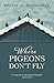 Where Pigeons Don’t Fly by Yousef Al-Mohaimeed
