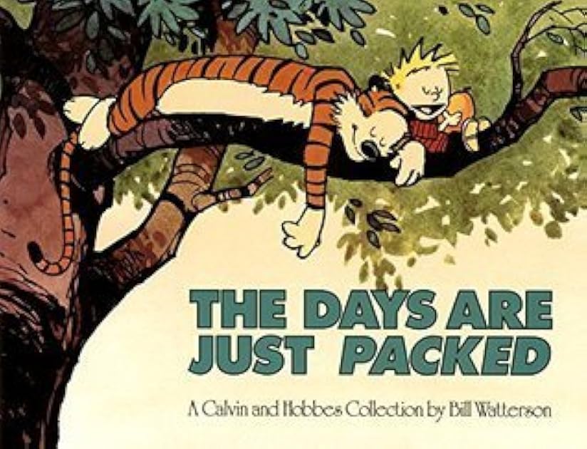The Days Are Just Packed (Calvin and Hobbes, #8)