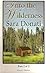 Into the Wilderness (Wilderness #1) Audio by Sara Donati