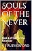 Souls of the Never (Tales of the Neverwar, #1)