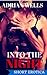 Into The Night (Short Erotica)