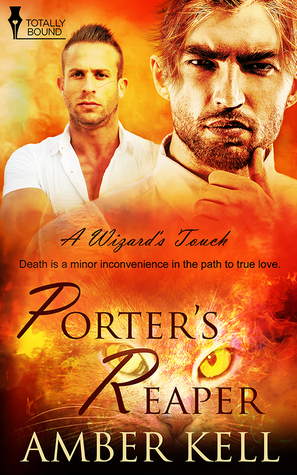 Porter's Reaper (A Wizard's Touch, #5)
