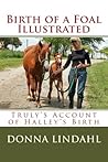 Birth of a Foal Illustrated (From Mare to Filly Book 1)