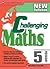 Primary 5 Challenging Maths