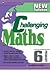 Primary 6 Challenging Maths