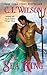 The Sea King by C.L. Wilson