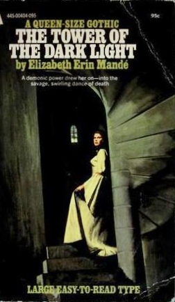 The Tower Of The Dark Light (Paperback)