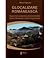 Glocalizare românească : Impactul comunitar al proiectului Roşia Montană Gold Corporation