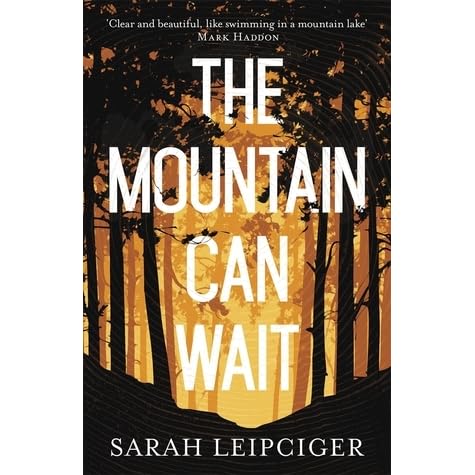 The Mountain Can Wait By Sarah Leipciger Reviews Discussion Bookclubs Lists