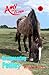 Disappearing Ponies (Amy and Clown, #5)