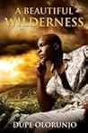 A Beautiful Wilderness by Dupe Olorunjo