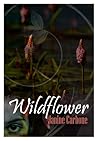 Wildflower by Janine Carbone