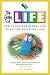 The Game of Life Display: How to Succeed No Matter Where You Land