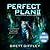 Perfect Plan II (Audio book)