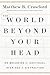 The World Beyond Your Head