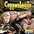 Copperheads (World of REPTILES)