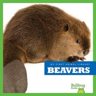 Beavers (My First Animal Library)