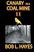 Canary in a Coal Mine II