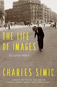 The Life of Images: Selected Prose
