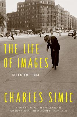 The Life of Images: Selected Prose (Kindle Edition)