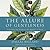 The Allure of Gentleness: What Makes the Christian Faith Compelling and Attractive