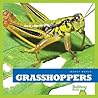 Grasshoppers (Insect World)