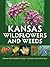 Kansas Wildflowers and Weeds