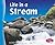 Life in a Stream (Living in a Biome)