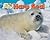 Harp Seal (Arctic Animals: Life Outside the Igloo)