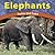 Elephants: Trunks and Tusks