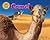 Camel (Desert Animals Searchin' for Shade)