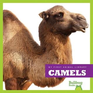 Camels (Bullfrog Books: My First Animal Library)