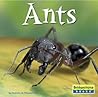 Ants (World of Insects)