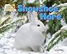 Snowshoe Hare (Arctic Animals: Life Outside the Igloo)
