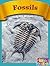 Fossils (Phonics Readers)