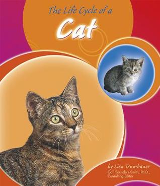 The Life Cycle Of A Cat By Lisa Trumbauer