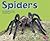 Spiders (Pebble Plus - Bugs, Bugs, Bugs!)