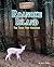 Roanoke Island: The Town Th...