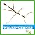 Walkingsticks (Insect World)