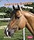 American Quarter Horses (Pe...