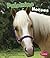 Palomino Horses (Pebble Books/Horses)