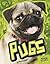 Pugs