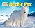Arctic Fox (Arctic Animals: Life Outside the Igloo)