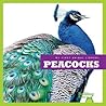 Peacocks