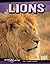 Lions by Tammy M. "Gagne" Proctor