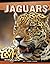 Jaguars