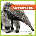 Anteaters